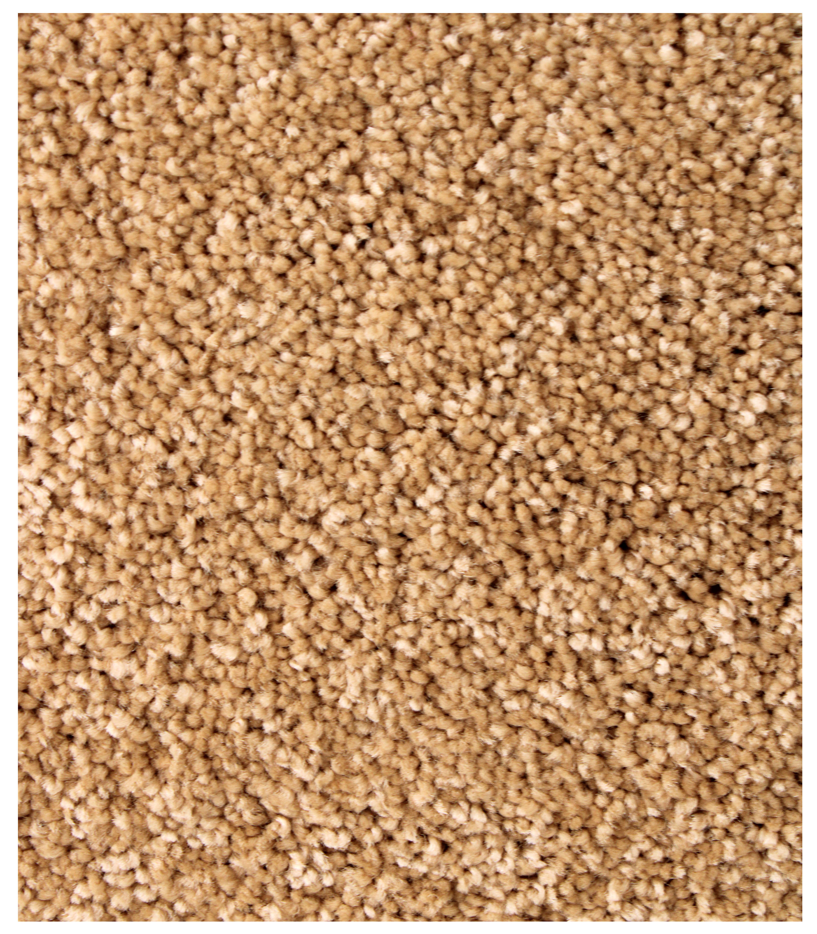 Impressive Beige Large Area Rug 